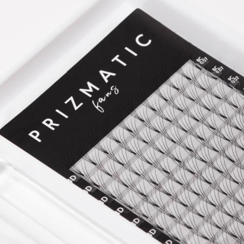Prismatic Eyelashes 5D - C or CC, 0.07 Mix Black (8-14)
