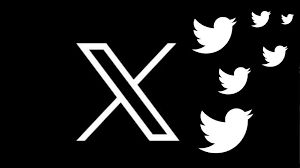 زيادة متابعين إكس ( تويتر سابقا )