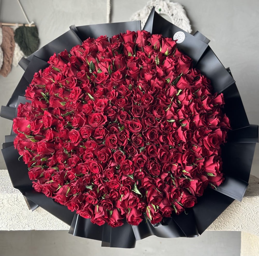 FY.200 Roses
