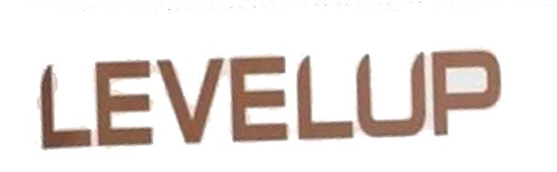 LEVELUP