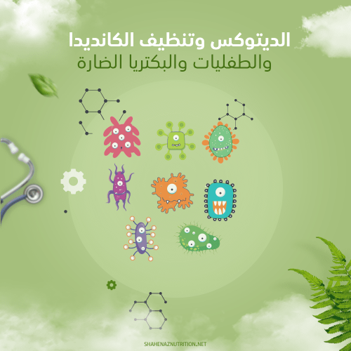 الديتوكس وتنظيف الكانديدا والطفليات والبكتريا الضا...
