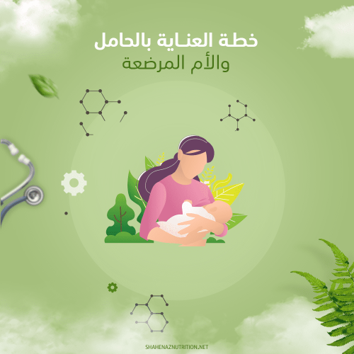 خطة العناية بالحامل و الأم المرضعة