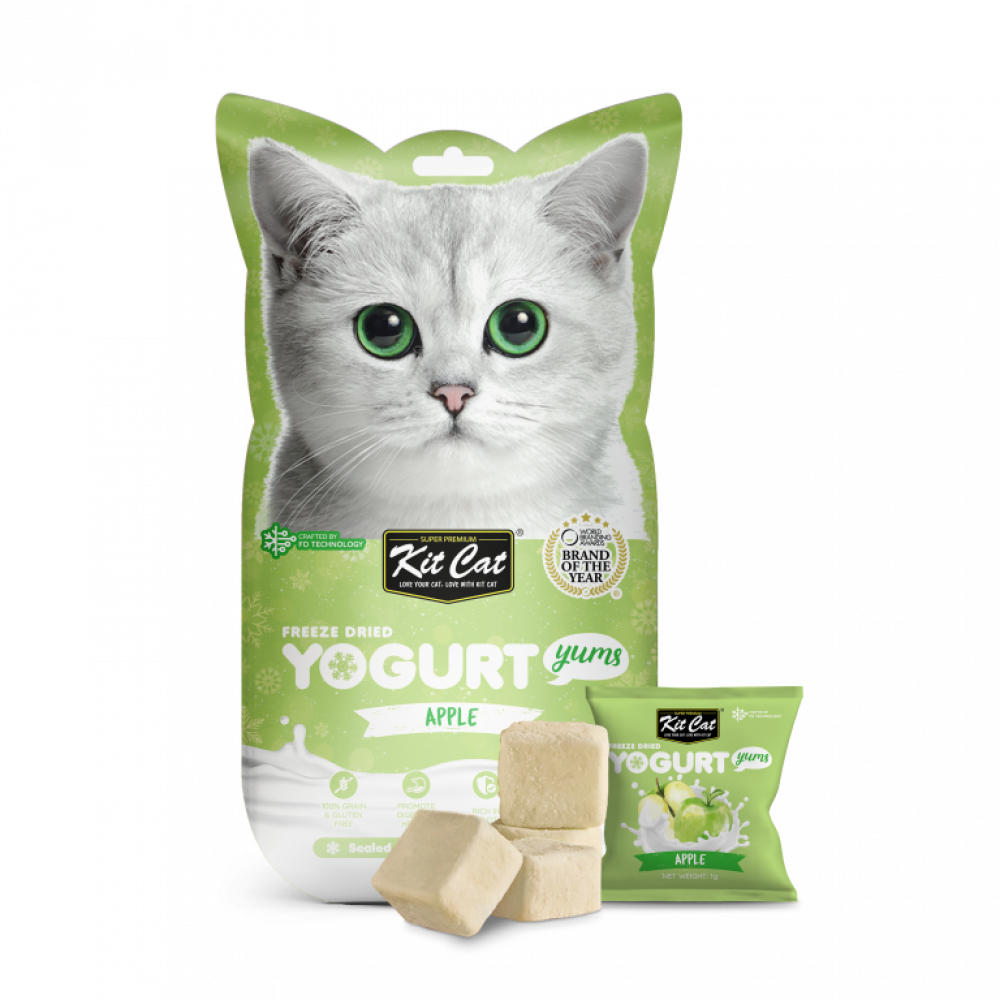 Kit Kat Yogurt Treat - pet cats