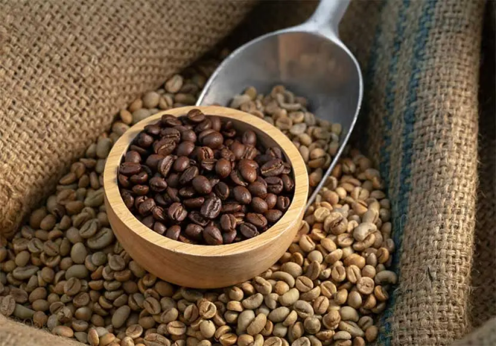 القهوة العربية في السعودية عام 2025: دليل شامل لاختيار أفضل الأنواع وأحدث التقنيات