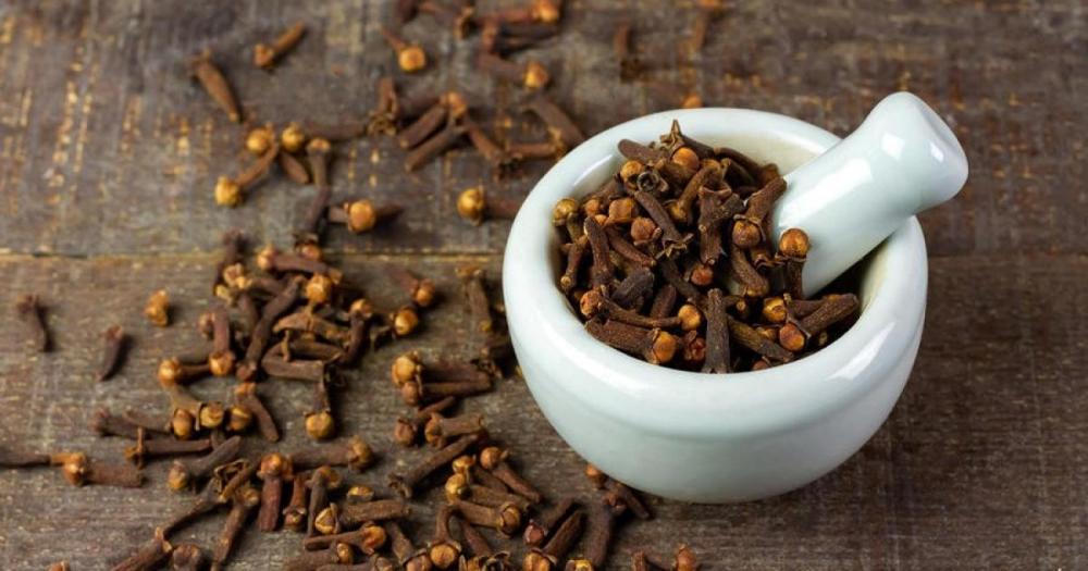 القرنفل السريلانكي: دليل شامل لأفضل أنواع القرنفل في العالم | أسس الزاد