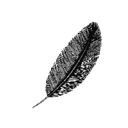 نياسيا باريس/Nayassia Paris