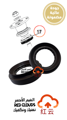 صوفه  عكس خلفي داخلي أصلي