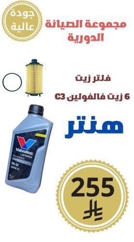 مجموعة الصيانة الدورية هنتر (مع انظمة المحافظة على البيئة) أصلي