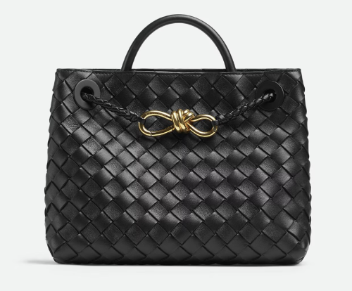 Bottega Veneta Andiamo bag (SMALL)