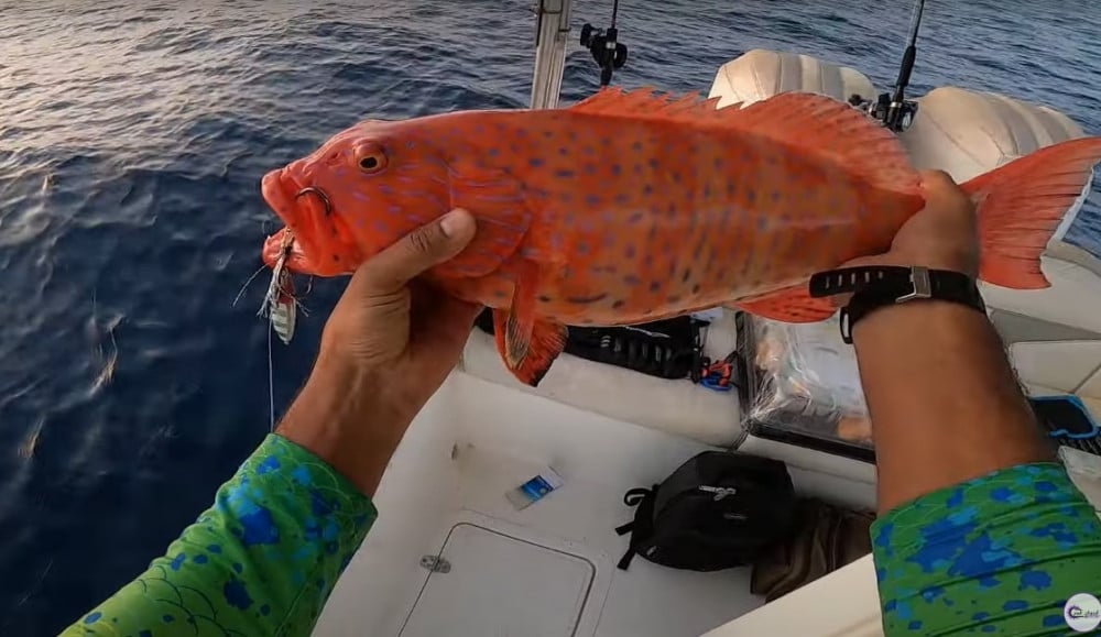 تجربة جيق bomb