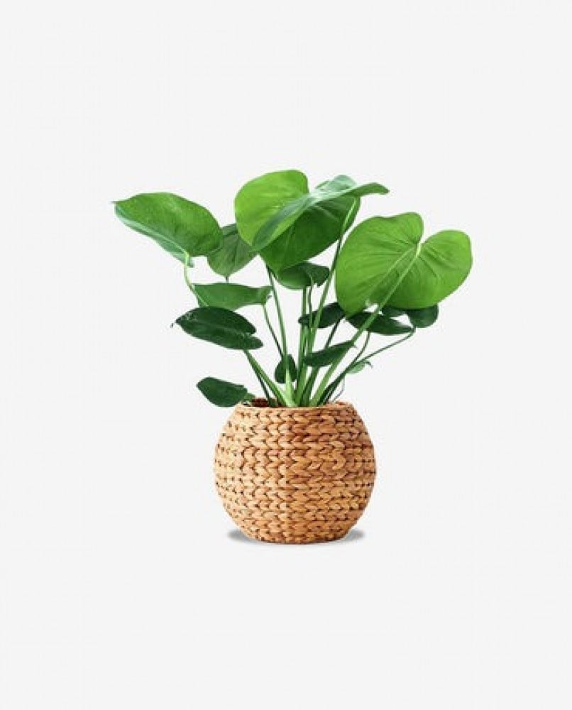 ساعة حائط كلاسيك بدون أرقام 2