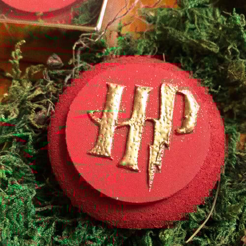 شارة هاري بوتر مغناطيسية