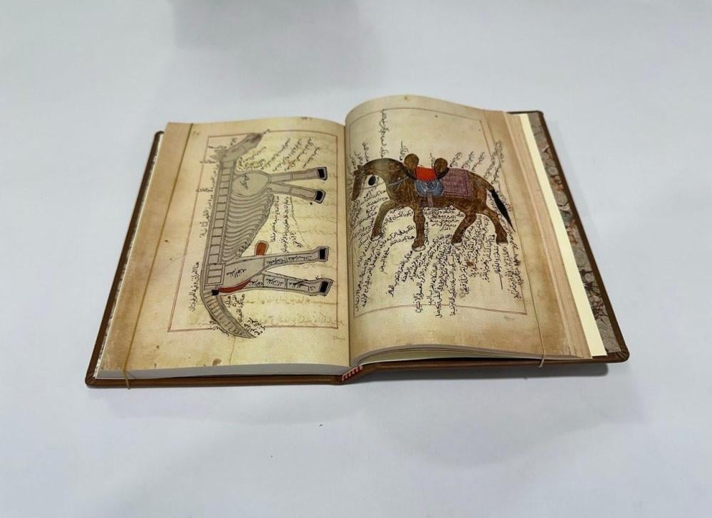 علم سياسة الخيل