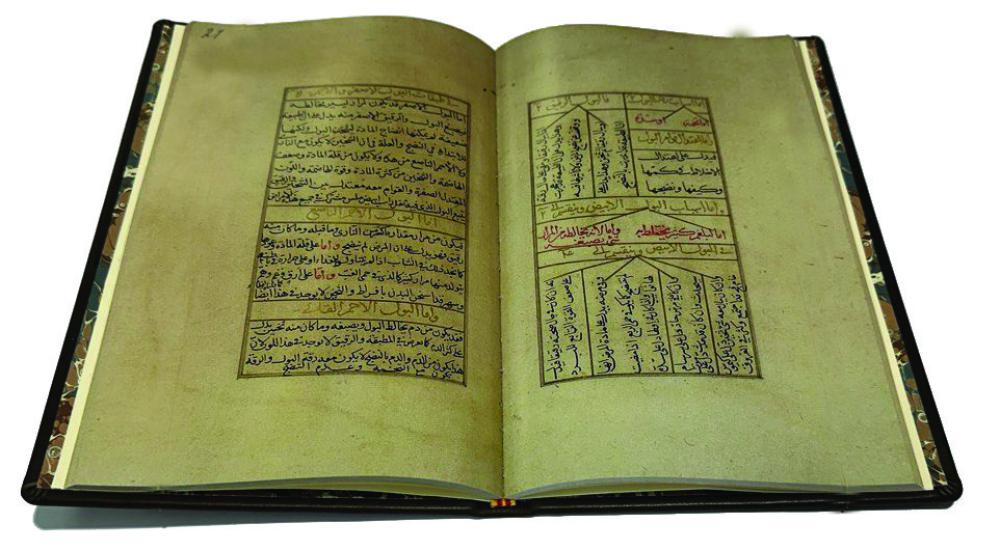 شجرة الطب