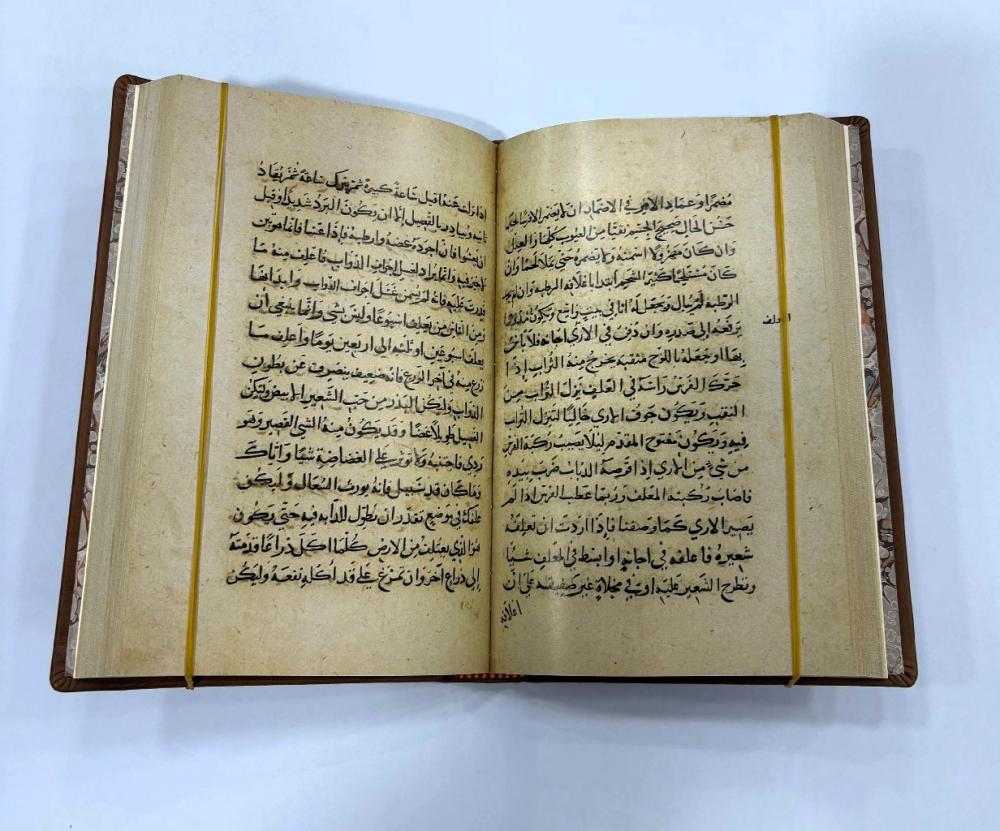 الفروسية وشيات الخيل