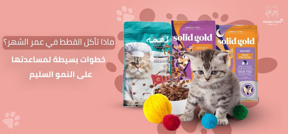 ماذا تأكل القطط في عمر الشهر