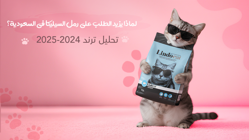 لماذا يزيد الطلب على رمل السيليكا في السعودية؟ تحليل ترند 2024-2025