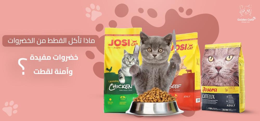 ماذا تأكل القطط من الخضروات