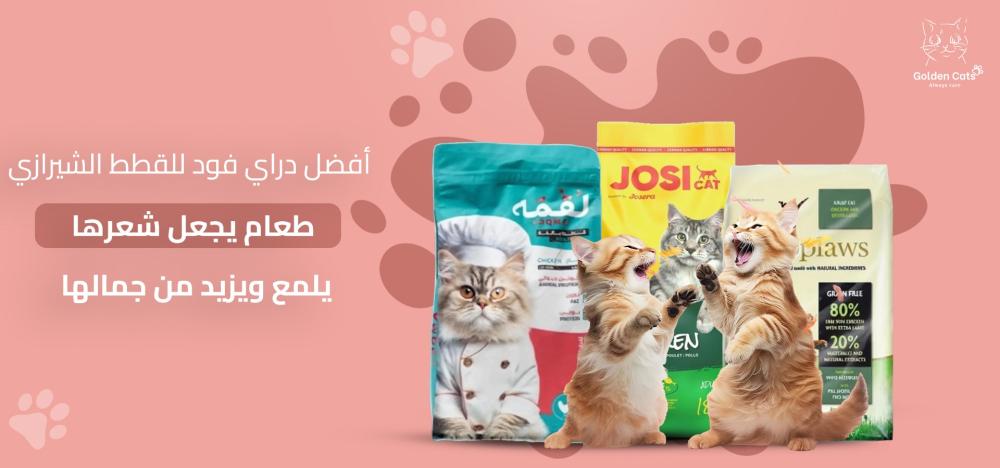 أفضل دراي فود للقطط الشيرازي