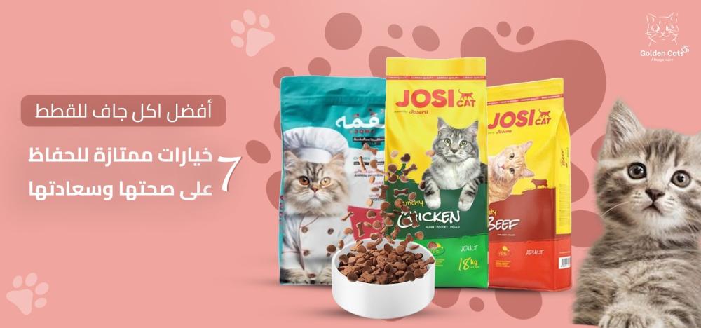 أفضل اكل جاف للقطط