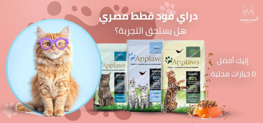 دراي فود قطط مصري