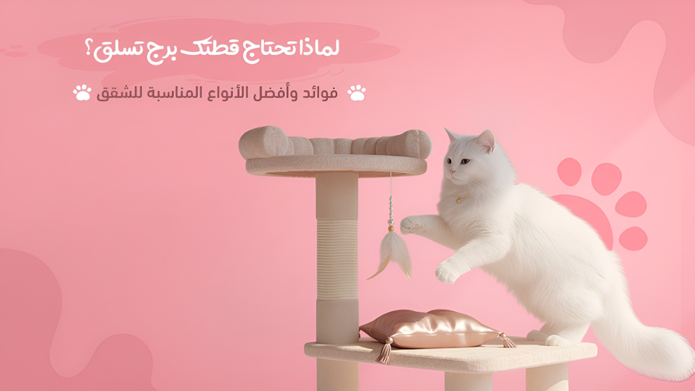 لماذا تحتاج قطتك برج تسلق؟ فوائد وأفضل الأنواع المناسبة للشقق