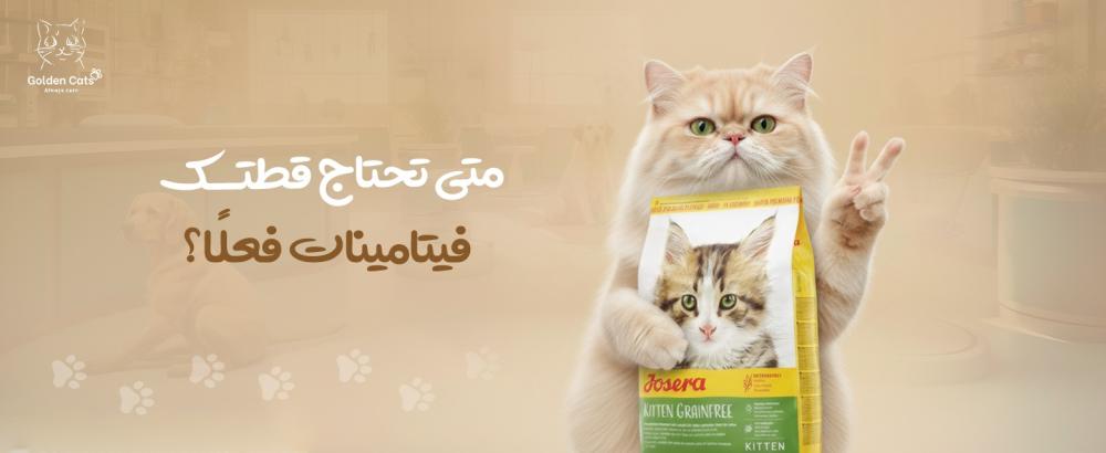 فيتامينات قطط: متى تحتاجها قطتك فعلًا؟