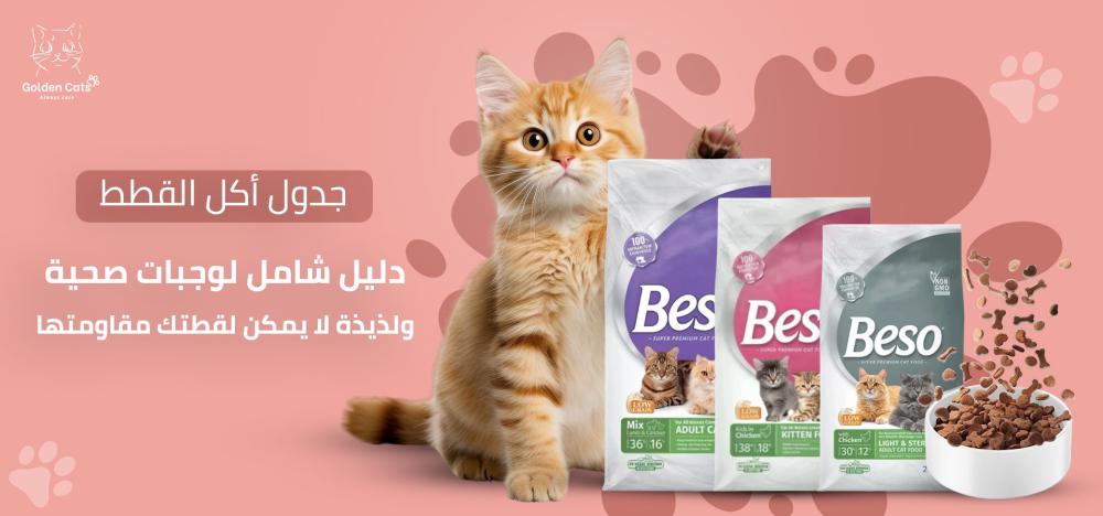 جدول أكل القطط