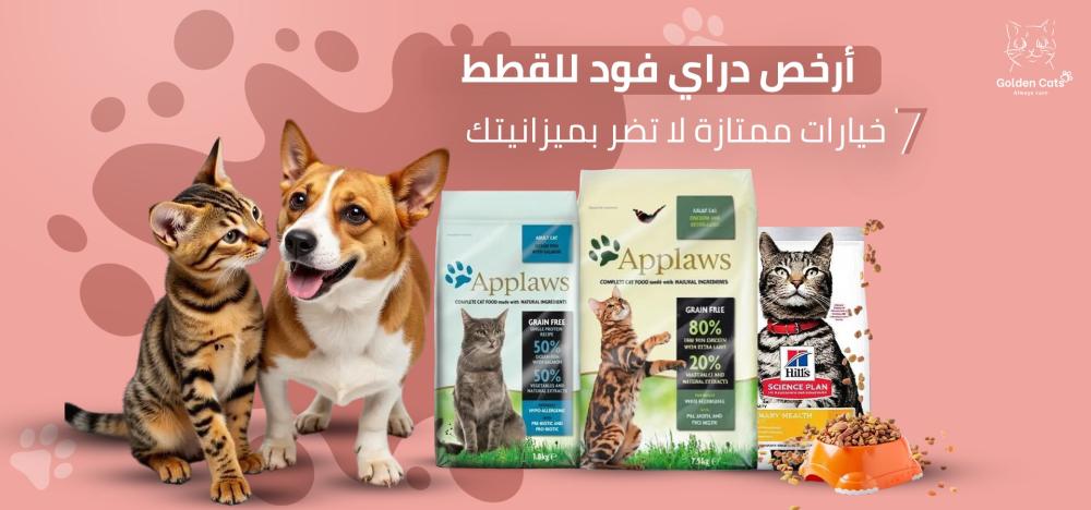 أرخص دراي فود للقطط