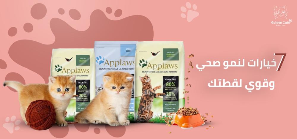 افضل دراي فود للقطط الصغيرة