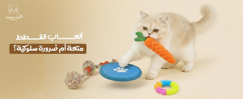 ألعاب قطط: متعة بسيطة أم ضرورة سلوكية؟