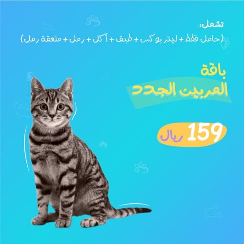 باقة المربين الجدد