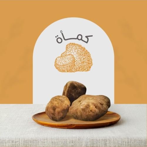 فقع خلاسي وزن 2.5 كجم تقريبًا