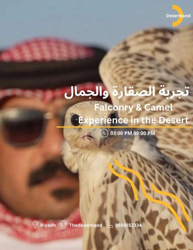 تجربة الصقارة والجمال