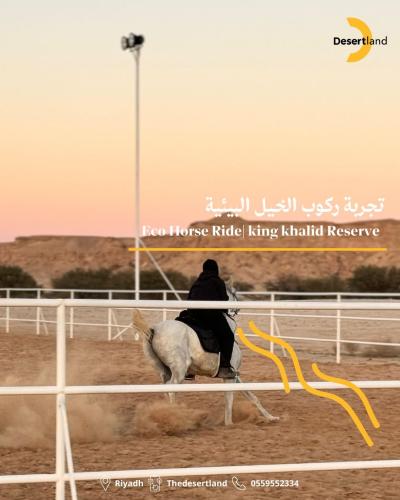 تجربة ركوب الخيل البيئية