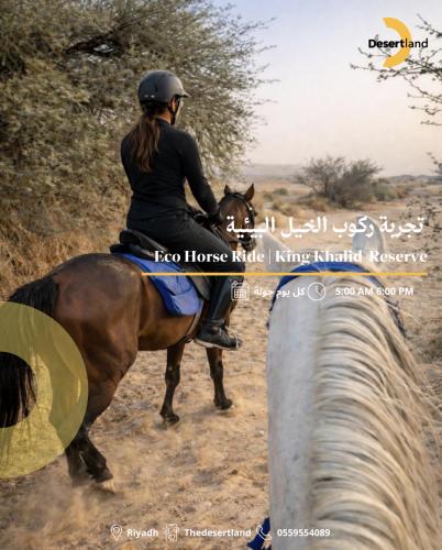 تجربة ركوب الخيل البيئية