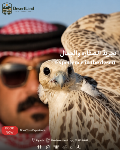 تجربة الصقارة والجمال