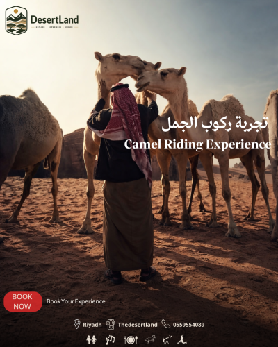 تجربة ركوب الجمل