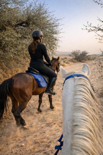 تجربة ركوب الخيل البيئية