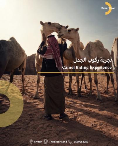 تجربة ركوب الجمل
