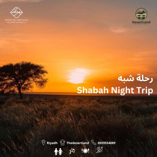 Ramadan nights