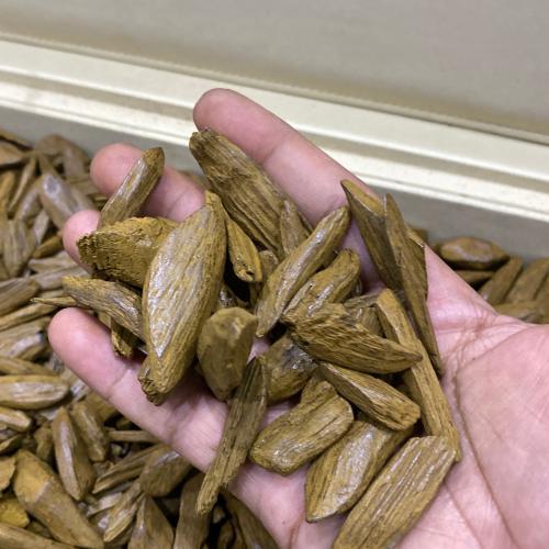 مروكي ميني محسن