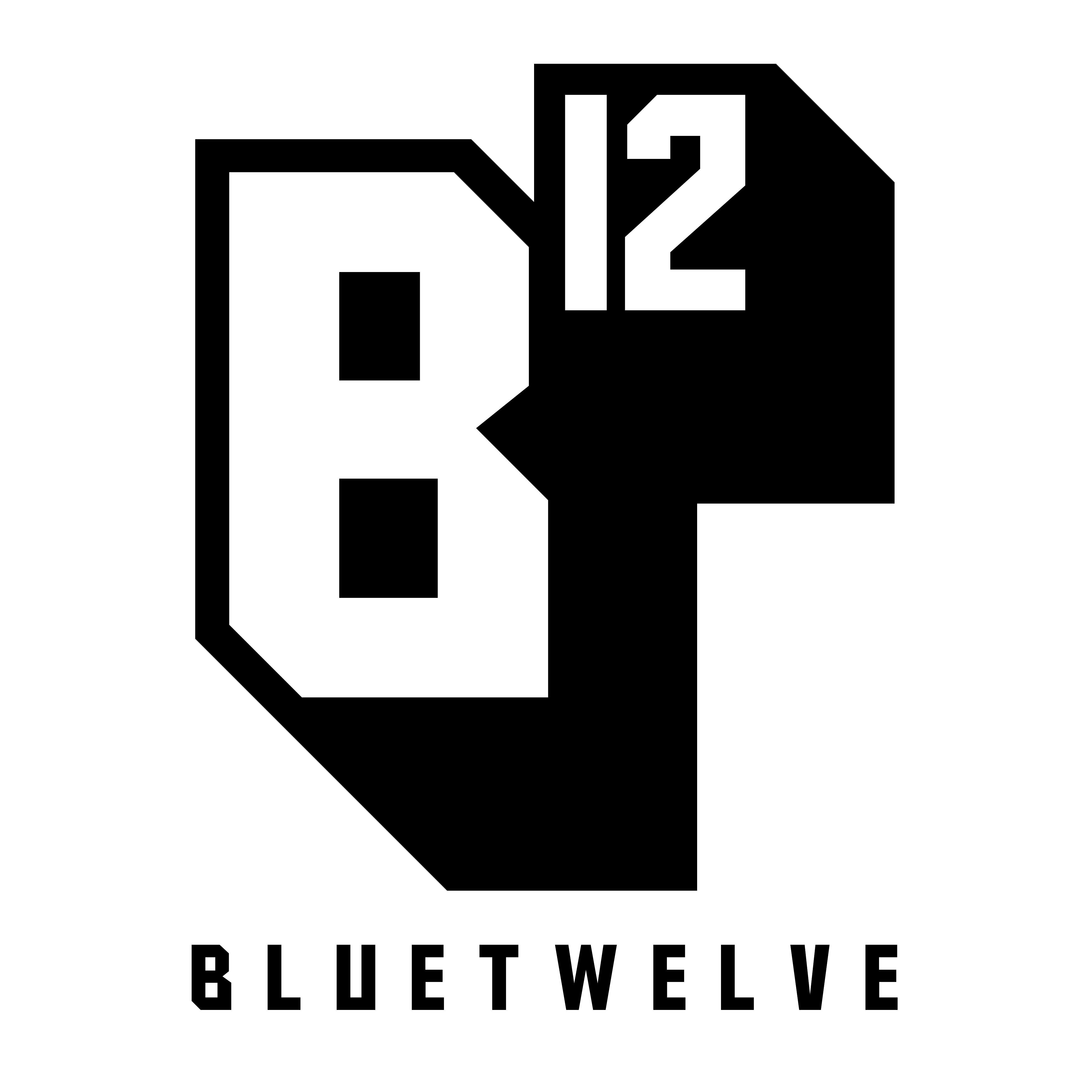BlueTwelve