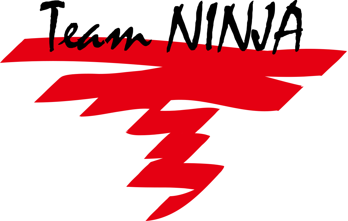 Team Ninja