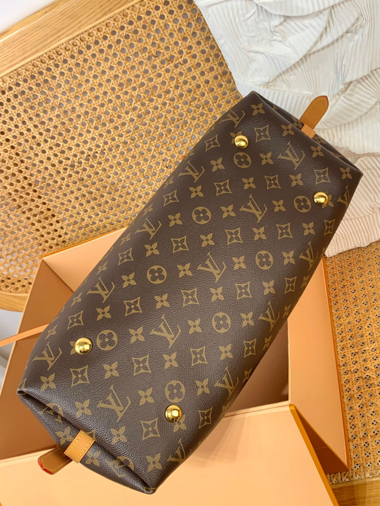 LOUISVUITTON-CARRYALL-