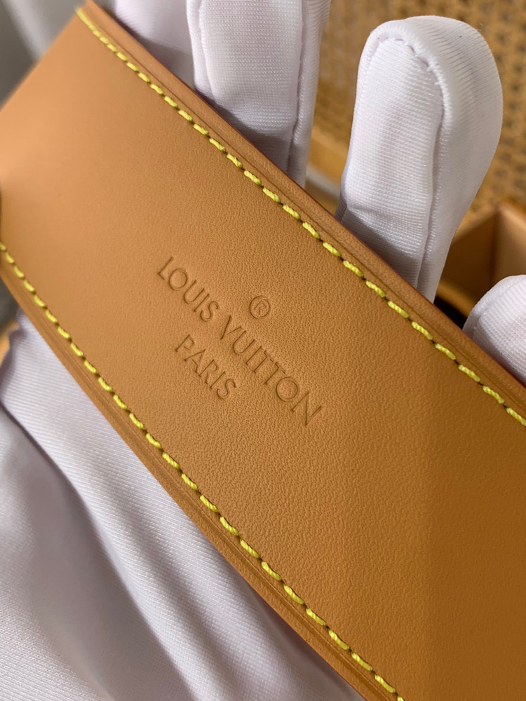 LOUISVUITTON-CARRYALL-