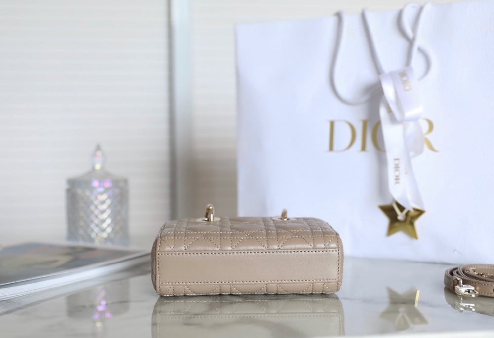 Dior lady joy