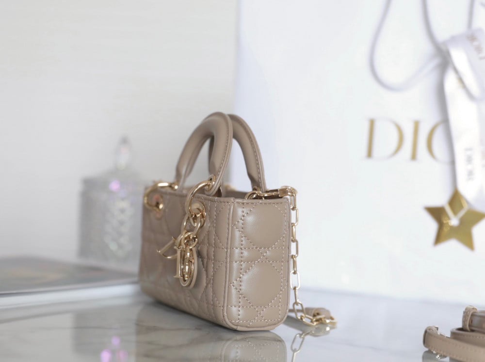 Dior lady joy