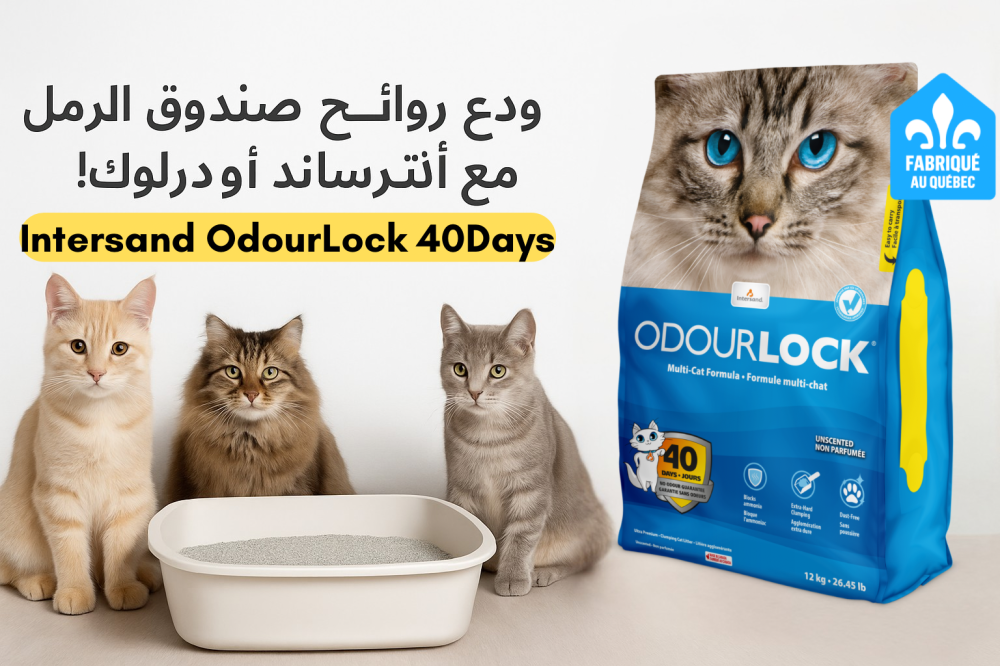 Intersand OdourLock Unscented Cat Litter انترساند رمل قطط غير معطر