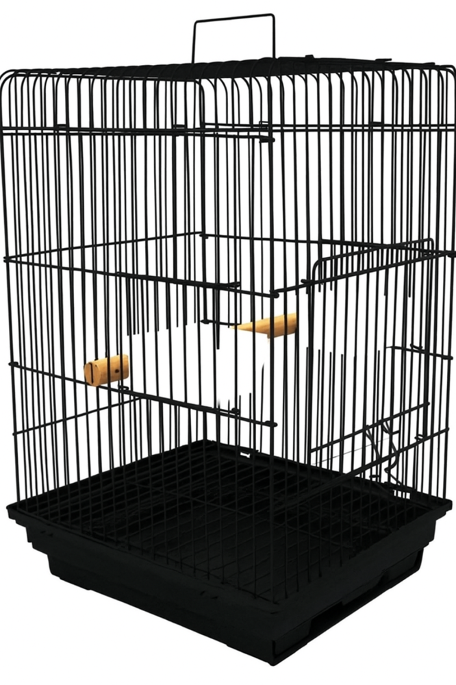 قفص جوانب قفص طيور متوسطه وكبيره قفص ببغاء كاسكو قفص كنيور